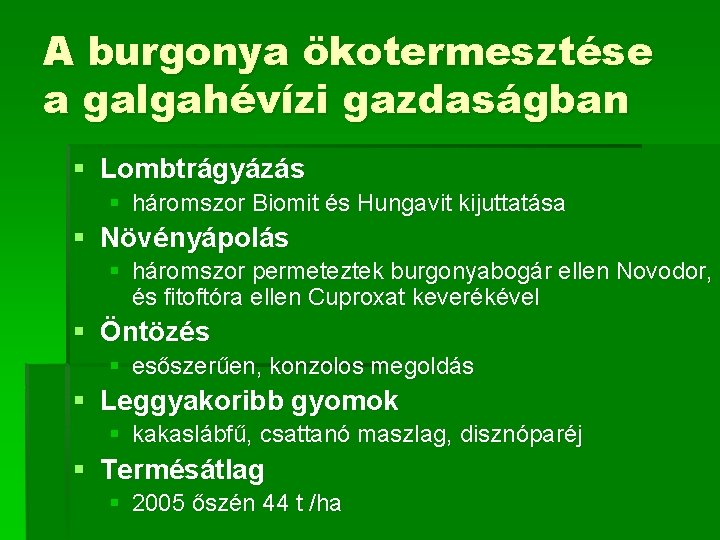 A burgonya ökotermesztése a galgahévízi gazdaságban § Lombtrágyázás § háromszor Biomit és Hungavit kijuttatása