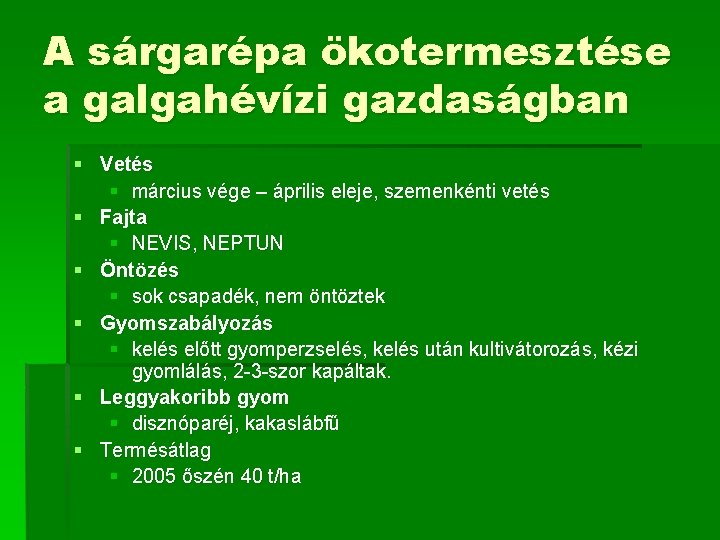 A sárgarépa ökotermesztése a galgahévízi gazdaságban § Vetés § március vége – április eleje,