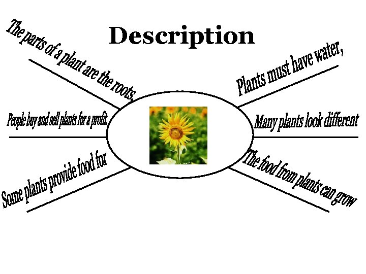 Description 