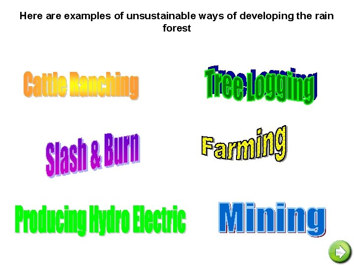 Here are examples of unsustainable ways of developing the rain forest 