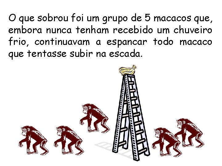 O que sobrou foi um grupo de 5 macacos que, embora nunca tenham recebido