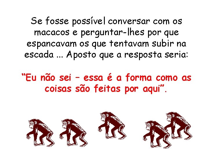 Se fosse possível conversar com os macacos e perguntar-lhes por que espancavam os que