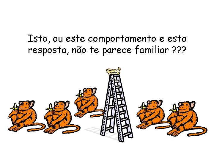Isto, ou este comportamento e esta resposta, não te parece familiar ? ? ?
