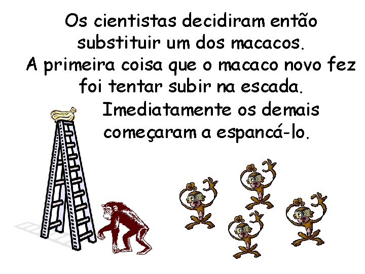 Os cientistas decidiram então substituir um dos macacos. A primeira coisa que o macaco