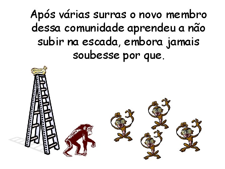 Após várias surras o novo membro dessa comunidade aprendeu a não subir na escada,