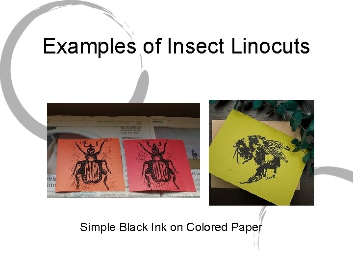 Examples of Insect Linocuts Simple Black Ink on Colored Paper 