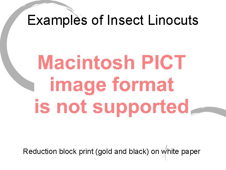 Examples of Insect Linocuts Reduction block print (gold and black) on white paper 