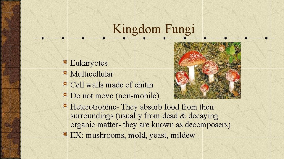 Kingdom Fungi Eukaryotes Multicellular Cell walls made of chitin Do not move (non-mobile) Heterotrophic-
