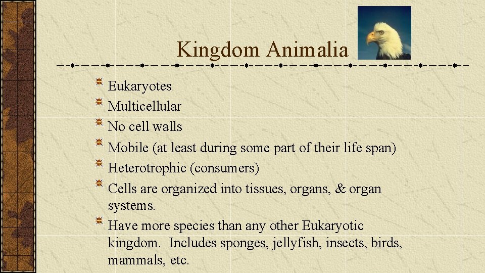 Kingdom Animalia Eukaryotes Multicellular No cell walls Mobile (at least during some part of