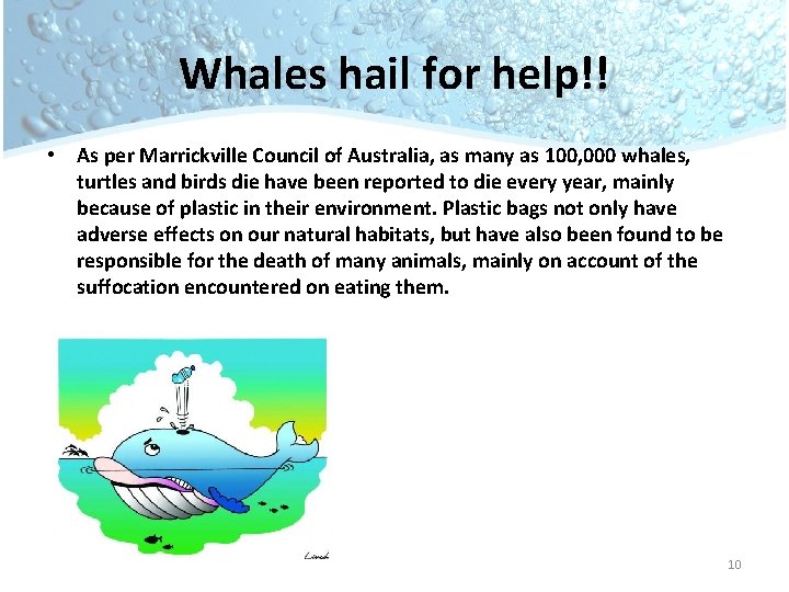 Whales hail for help!! • As per Marrickville Council of Australia, as many as