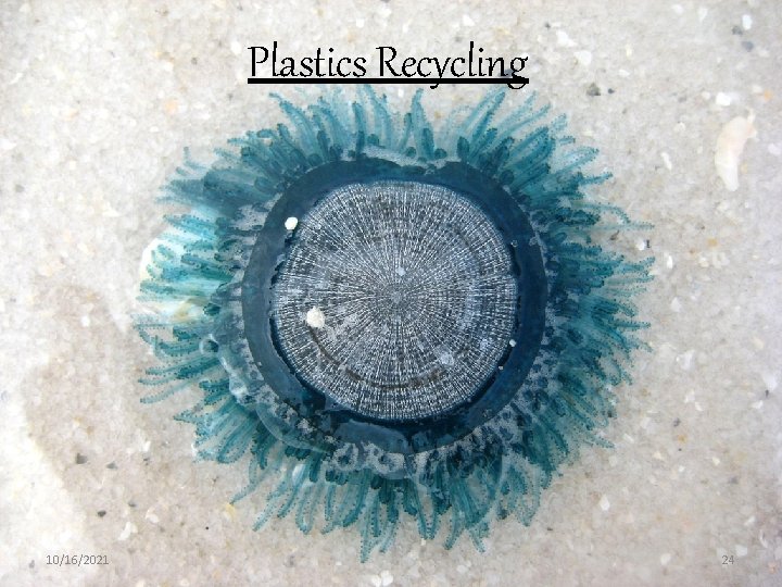 Plastics Recycling . 10/16/2021 24 