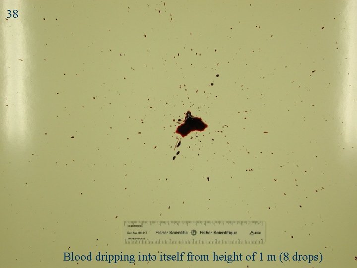 38 Drip 1: Blood dripping into itself from height of 1 m (8 drops)