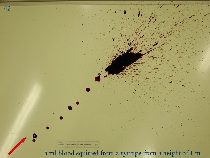 42 Splash 1 5 ml blood squirted from a syringe from a height of