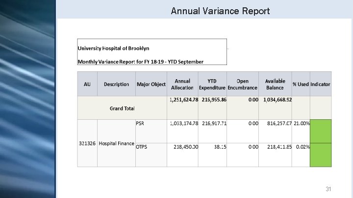 Annual Variance Report 31 