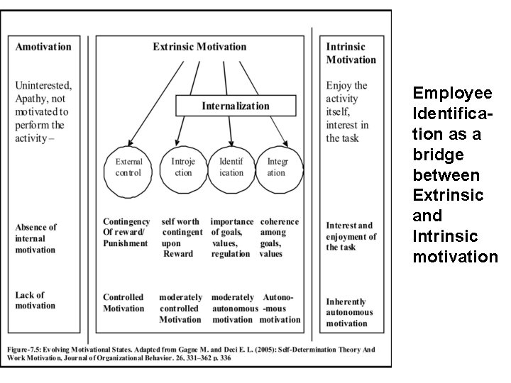 Employee Identification as a bridge between Extrinsic and Intrinsic motivation 
