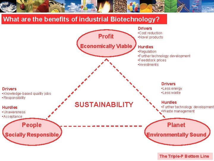 What are the benefits of industrial Biotechnology? Drivers Profit Economically Viable • Cost reduction