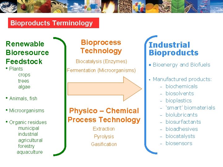 Bioproducts Terminology Renewable Bioresource Feedstock • Plants crops trees algae Bioprocess Technology Biocatalysis (Enzymes)