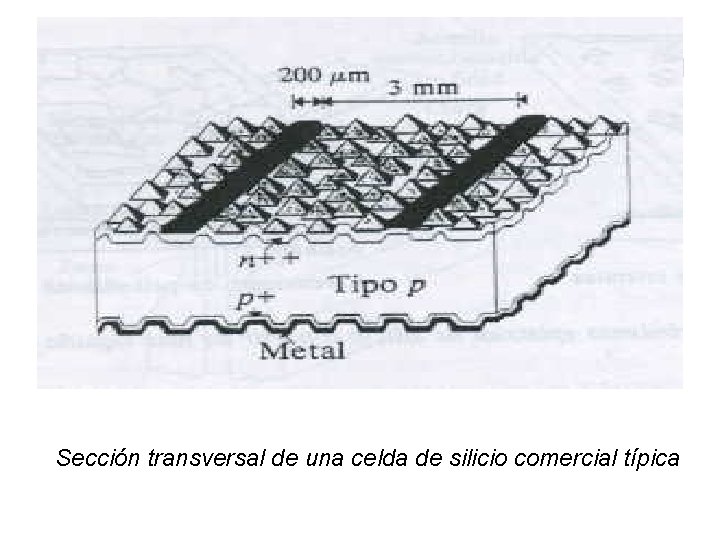 Sección transversal de una celda de silicio comercial típica 