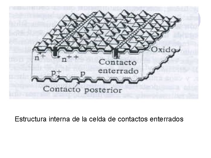 Estructura interna de la celda de contactos enterrados 