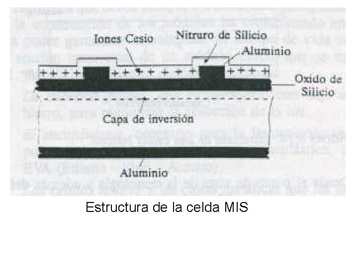 Estructura de la celda MIS 
