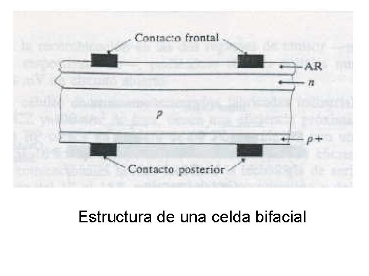 Estructura de una celda bifacial 