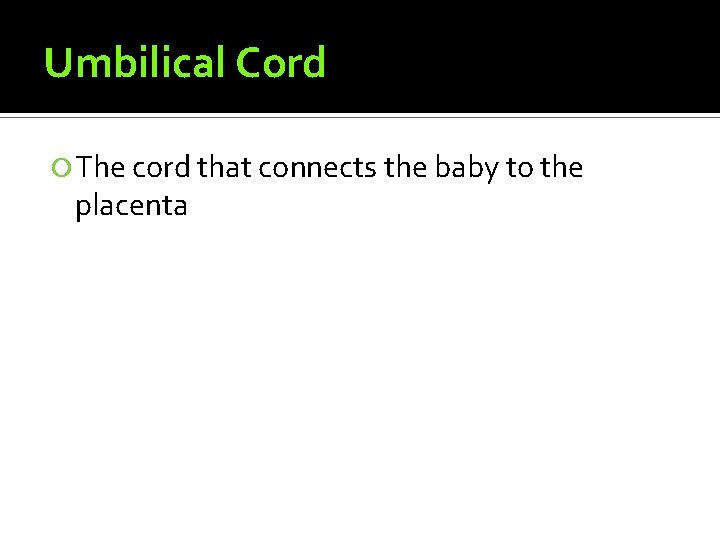 Umbilical Cord The cord that connects the baby to the placenta 
