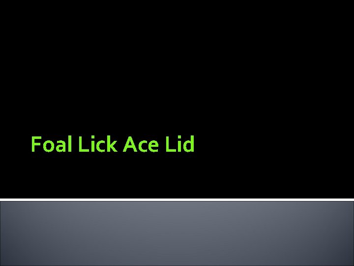 Foal Lick Ace Lid 