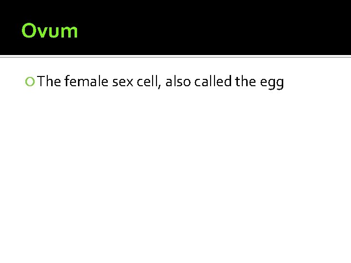 Ovum The female sex cell, also called the egg 