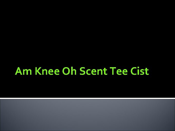 Am Knee Oh Scent Tee Cist 