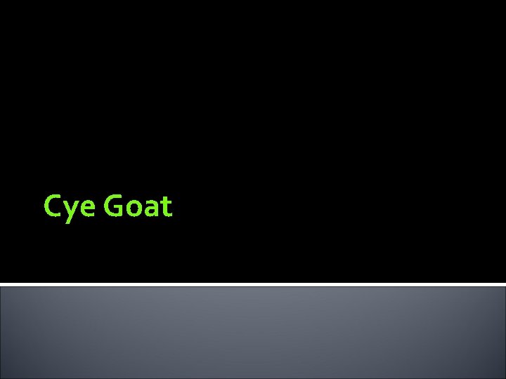 Cye Goat 
