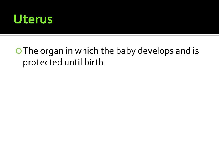 Uterus The organ in which the baby develops and is protected until birth 