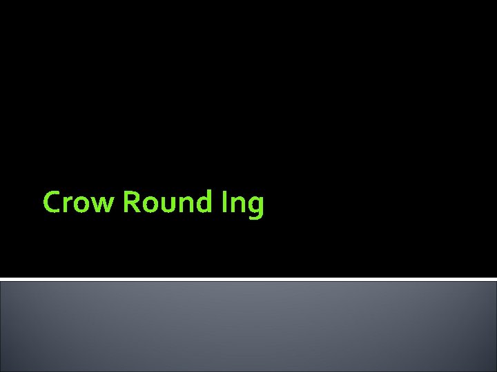 Crow Round Ing 