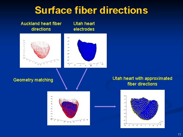 Surface fiber directions Auckland heart fiber directions Geometry matching Utah heart electrodes Utah heart