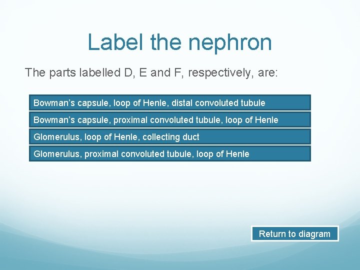 Label the nephron The parts labelled D, E and F, respectively, are: Bowman’s capsule,
