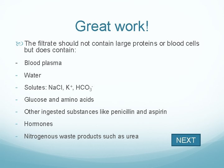 Great work! The filtrate should not contain large proteins or blood cells but does