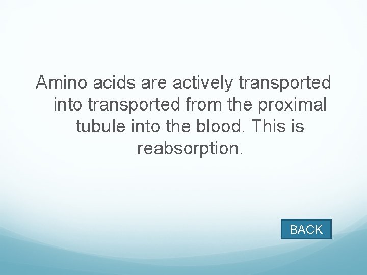 Amino acids are actively transported into transported from the proximal tubule into the blood.