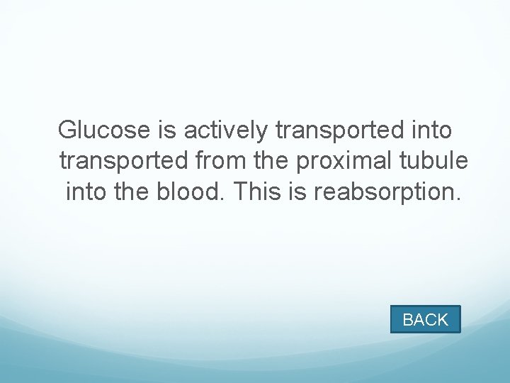 Glucose is actively transported into transported from the proximal tubule into the blood. This