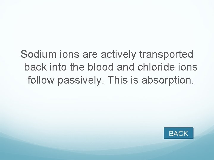 Sodium ions are actively transported back into the blood and chloride ions follow passively.
