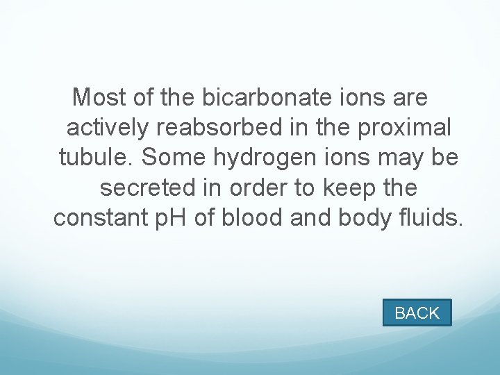 Most of the bicarbonate ions are actively reabsorbed in the proximal tubule. Some hydrogen