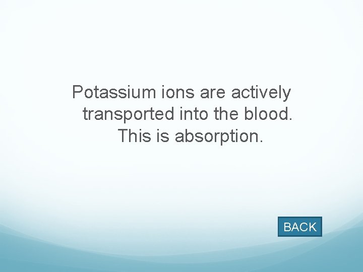 Potassium ions are actively transported into the blood. This is absorption. BACK 