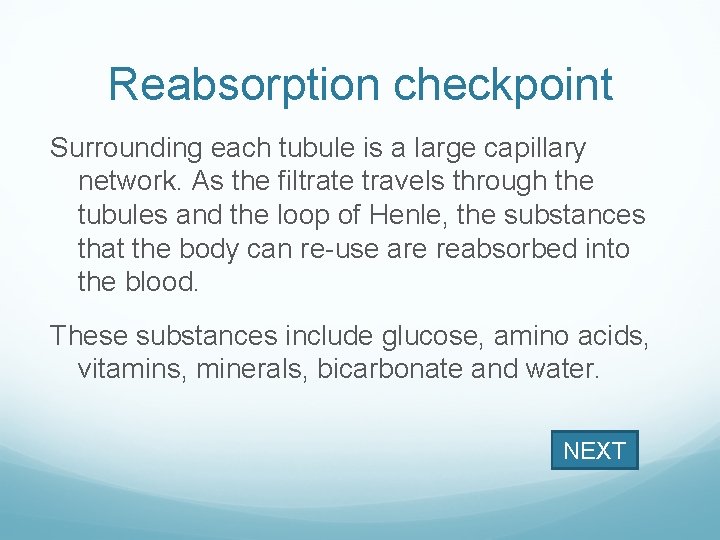 Reabsorption checkpoint Surrounding each tubule is a large capillary network. As the filtrate travels