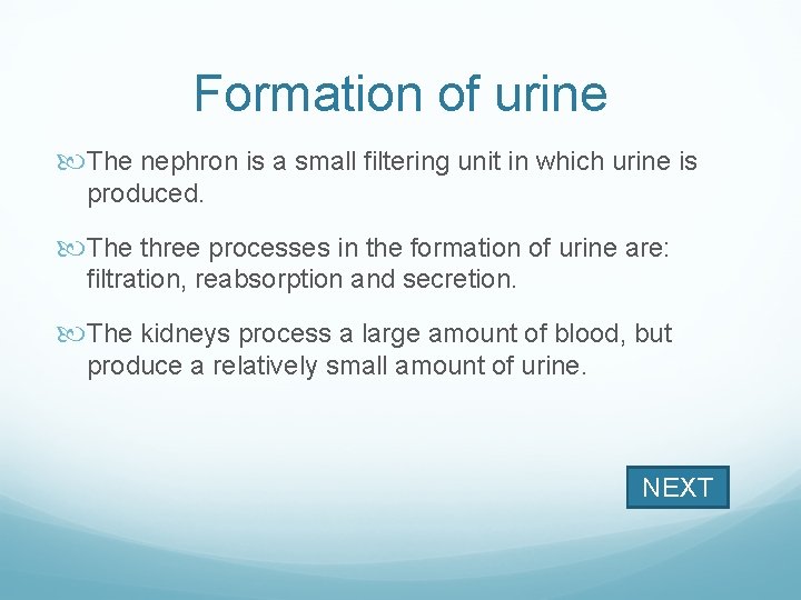 Formation of urine The nephron is a small filtering unit in which urine is