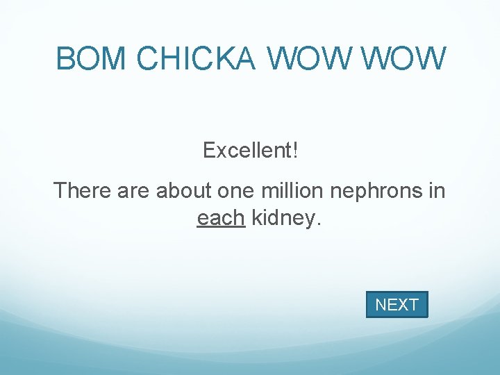 BOM CHICKA WOW Excellent! There about one million nephrons in each kidney. NEXT 
