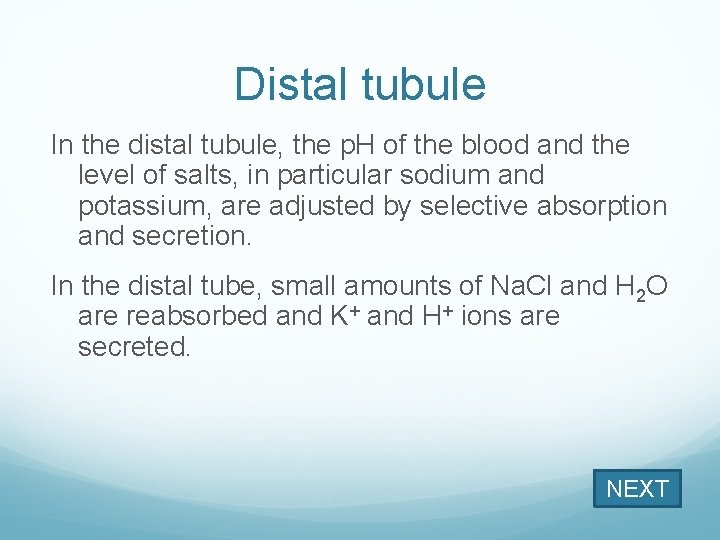 Distal tubule In the distal tubule, the p. H of the blood and the