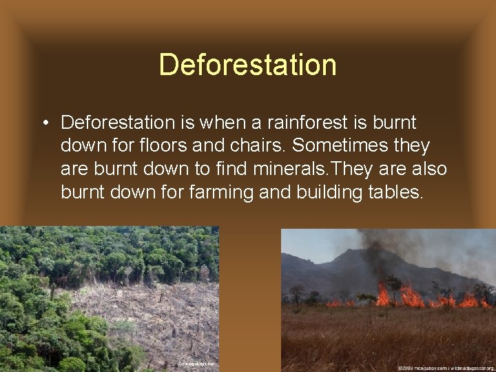 Deforestation • Deforestation is when a rainforest is burnt down for floors and chairs. Deforestation • Deforestation is when a rainforest is burnt down for floors and chairs.