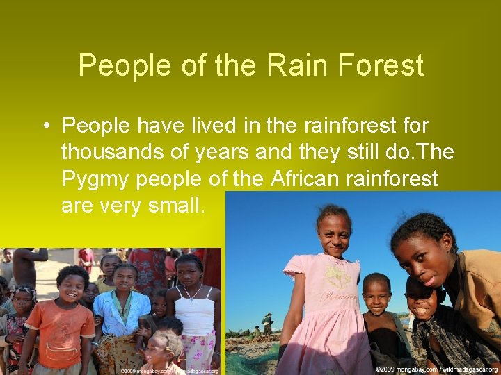 People of the Rain Forest • People have lived in the rainforest for thousands People of the Rain Forest • People have lived in the rainforest for thousands