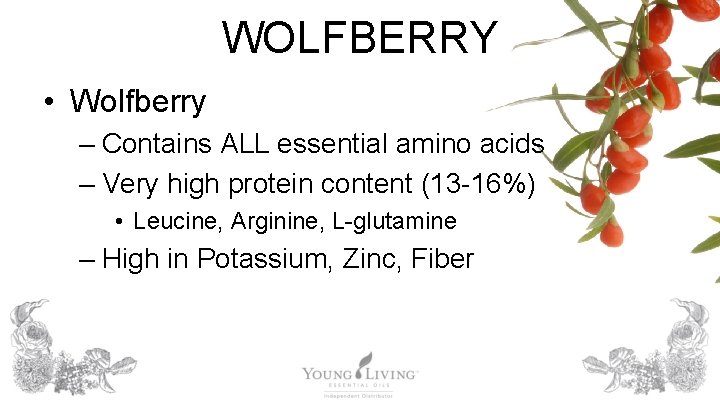 WOLFBERRY • Wolfberry – Contains ALL essential amino acids – Very high protein content