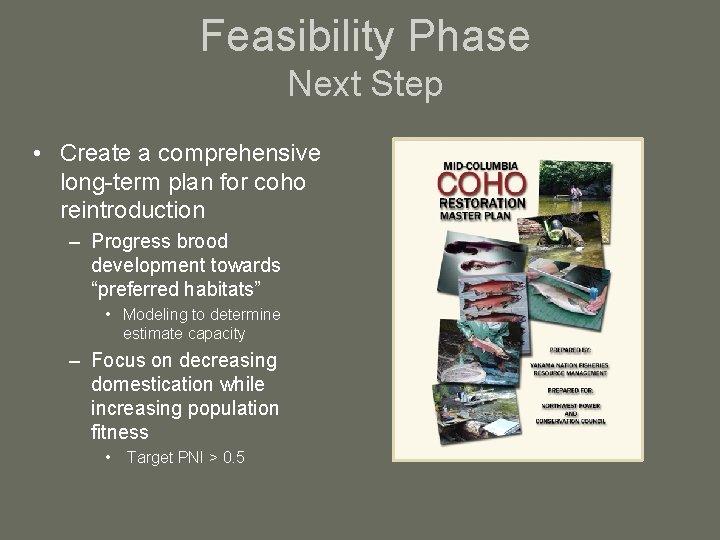 Feasibility Phase Next Step • Create a comprehensive long-term plan for coho reintroduction –