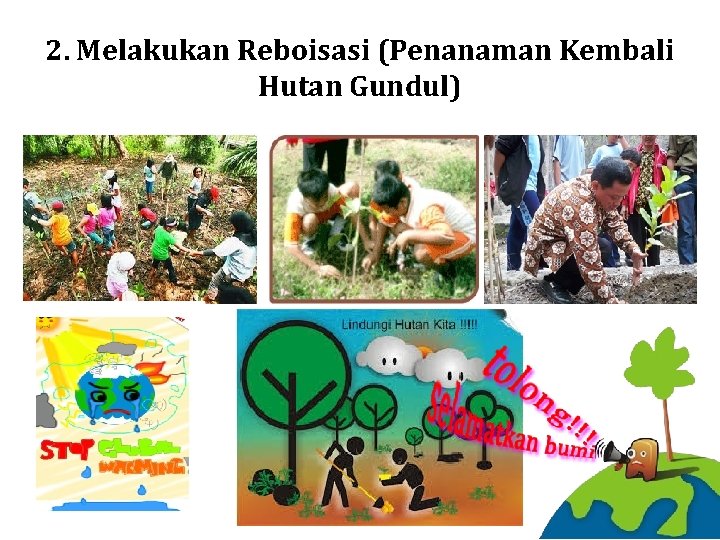 2. Melakukan Reboisasi (Penanaman Kembali Hutan Gundul) 