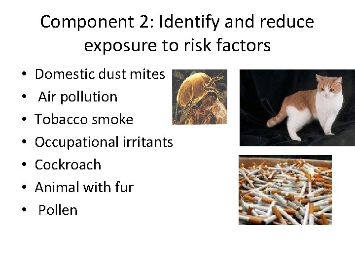 Component 2: Identify and reduce exposure to risk factors • • Domestic dust mites